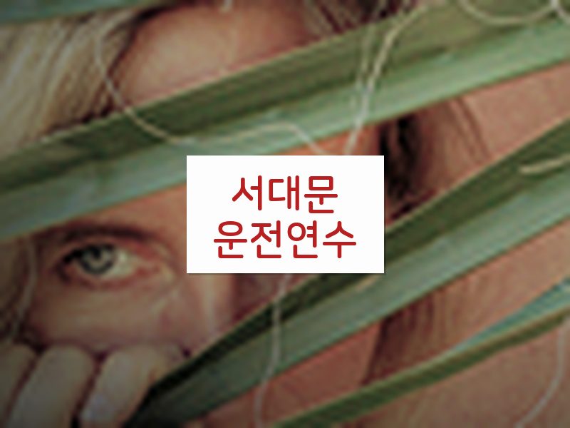 서대문운전연수 후기