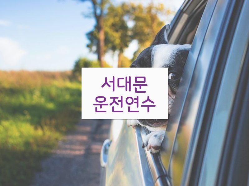 서대문운전연수 후기