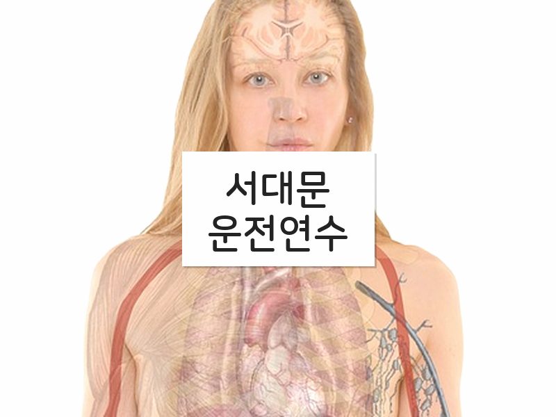 서대문운전연수 후기