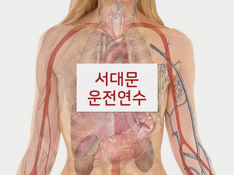 서대문운전연수 후기