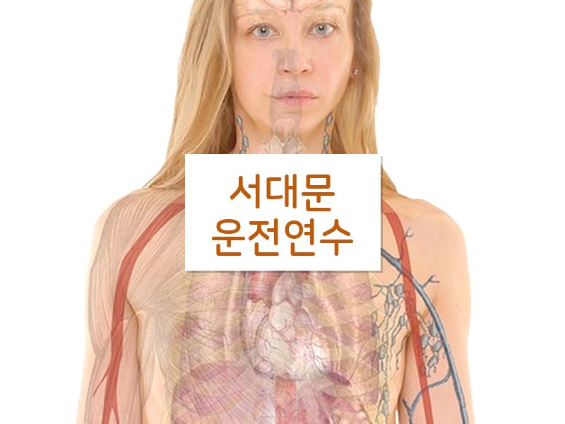 서대문운전연수 후기