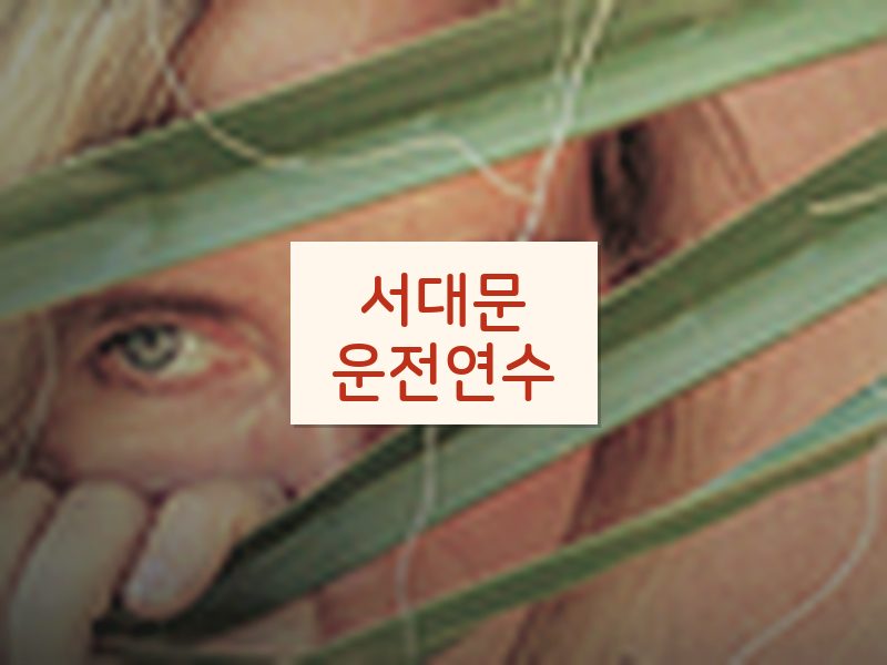 서대문운전연수 후기