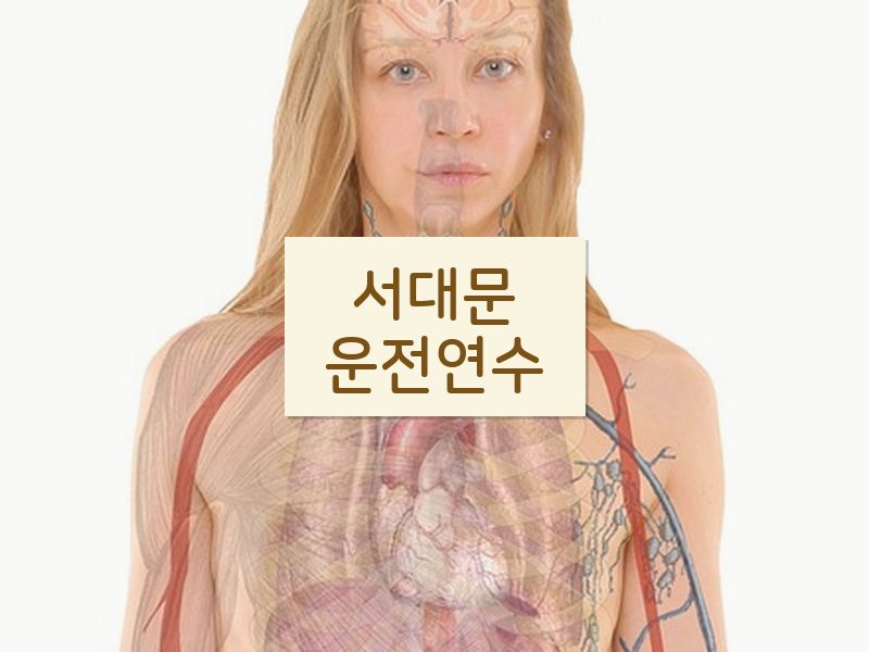 서대문운전연수 후기