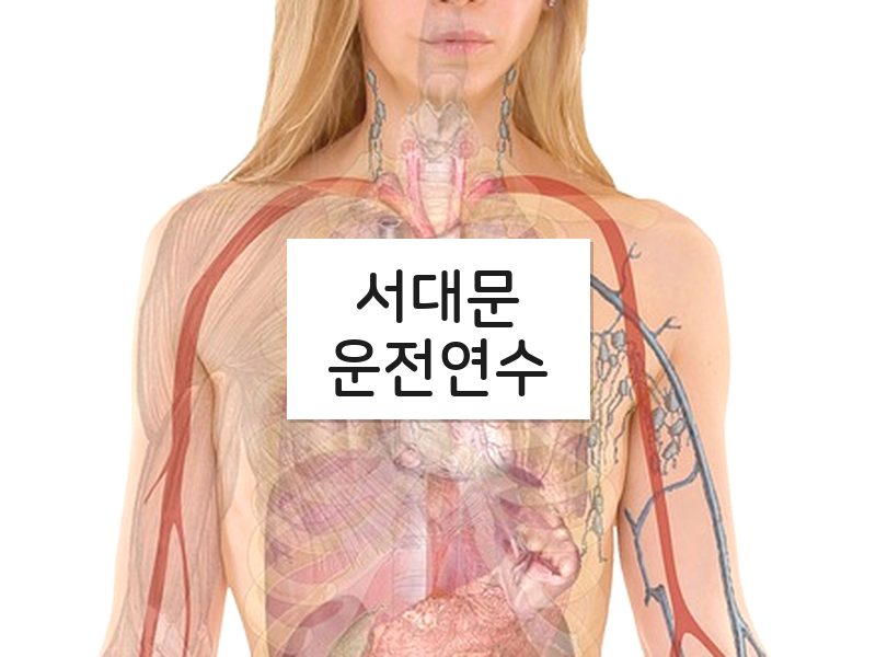 서대문운전연수 후기