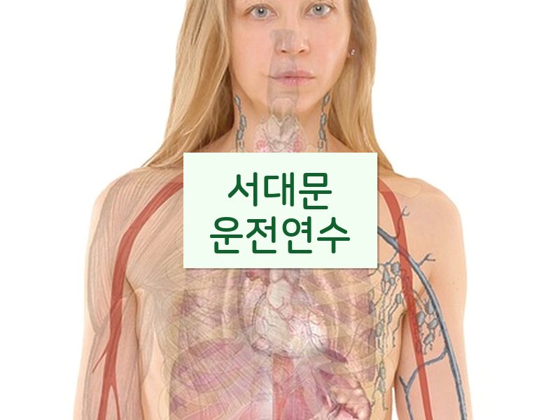 서대문운전연수 후기