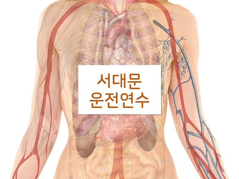 서대문운전연수 후기