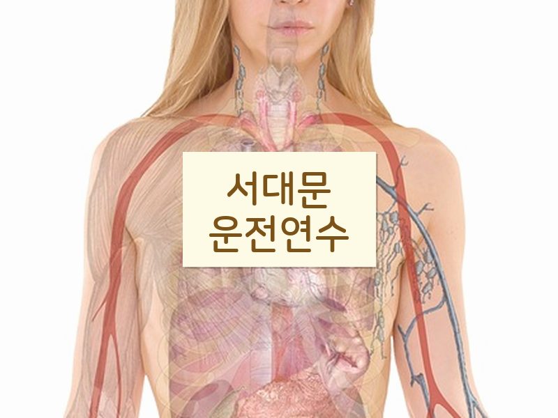 서대문운전연수 후기