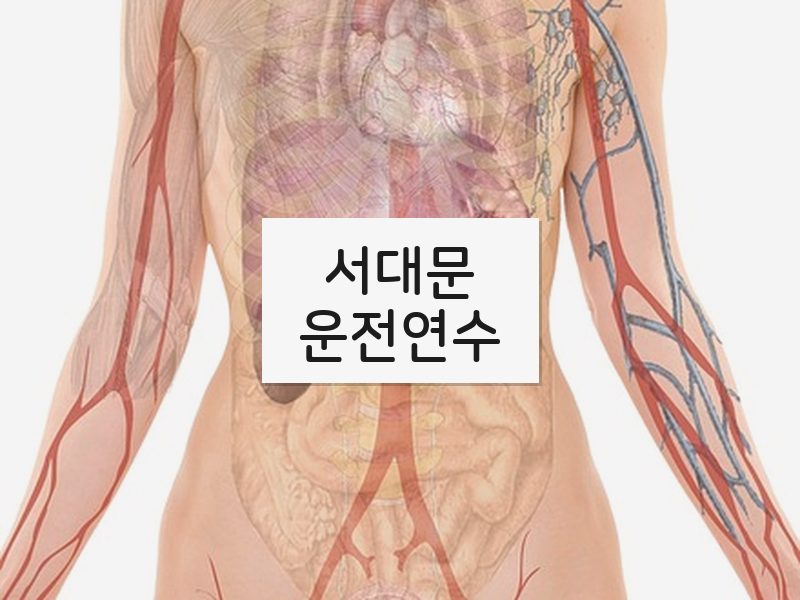 서대문운전연수 후기