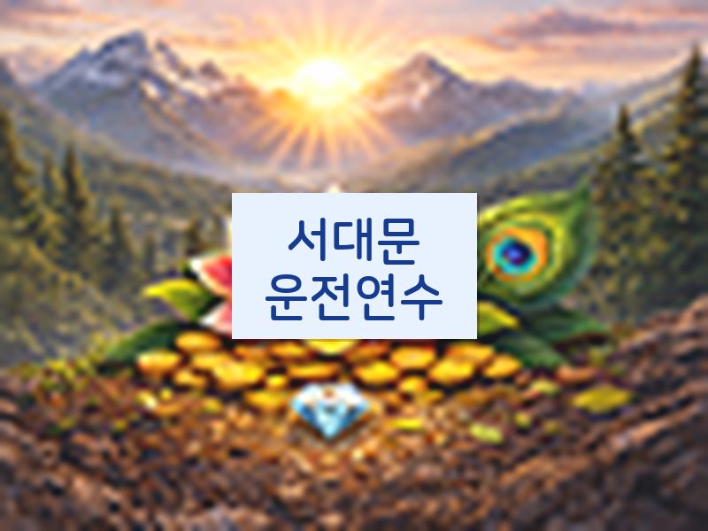 서대문운전연수 후기