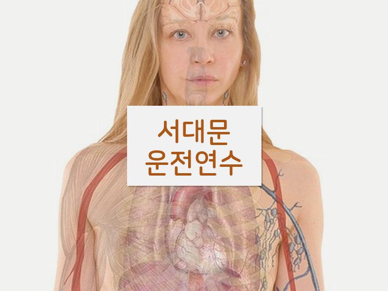 서대문운전연수 후기