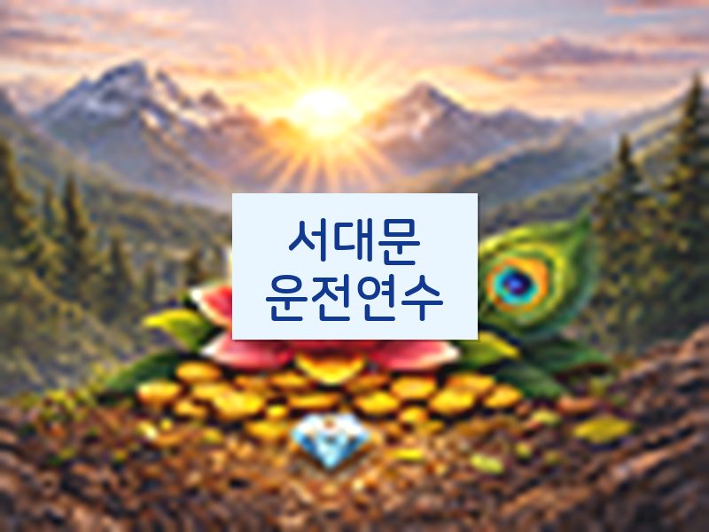 서대문운전연수 후기