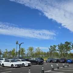 후진주차 이제 완전 정복했어요!