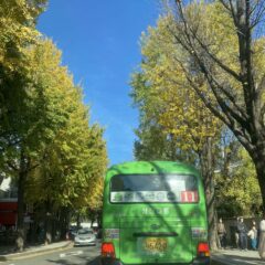 고속도로 놀라워요