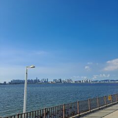 엄마 차로 운전하는 경험