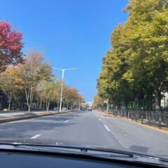 서대문 쪽 둥근길 운전