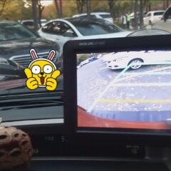 회전교차로 정복!