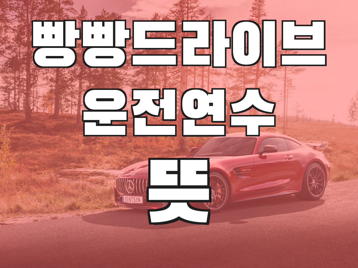 빵빵드라이브 운전연수 뜻 - 운전연수의 의미와 필요성