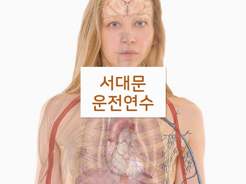 서대문운전연수 후기