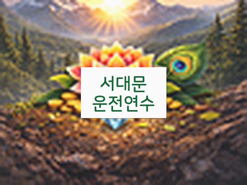 서대문운전연수 후기